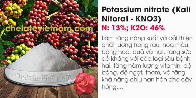 Bán Potassium nitrate (Kali Nitorat - KNO3) N: 13%; K2O: 46%